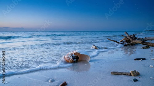 Waves gently washing ashore with seashells and driftwood on tranquil twilight beach