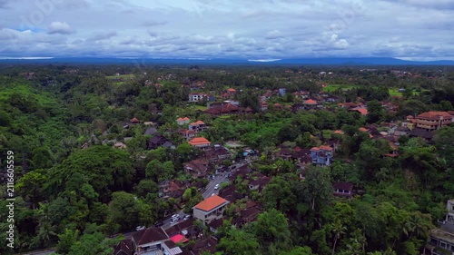Ubud village road winding through tropical greenery. Magic aerial view drone