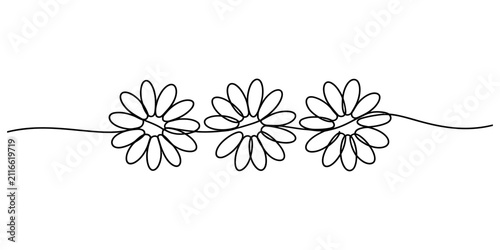Bild auf Leinwand Three daisy flowers drawn in a single continuous line style with a minimalist ar