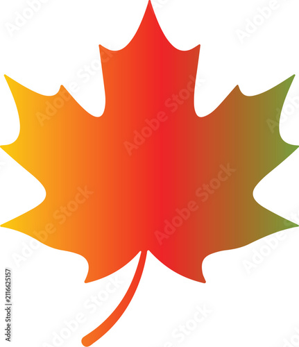Colorful Maple Leaf Vector