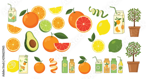 Creative flat cartoon illustration of orange citrus fruits juice cartons avocado and potted small orange trees.