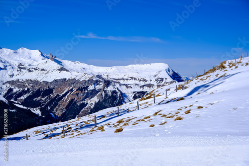 A beautiful wide-angle shot capturing a steep alpine hillside covered in snow and winter grass patches under a vibrant blue sky in the Bernese Oberland. A row of wooden fence posts cuts diagonally acr