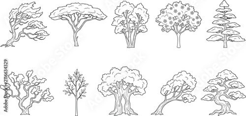 Hand Drawn Tree Collection with Diverse Botanical Outline Illustrations and Nature Vector Set