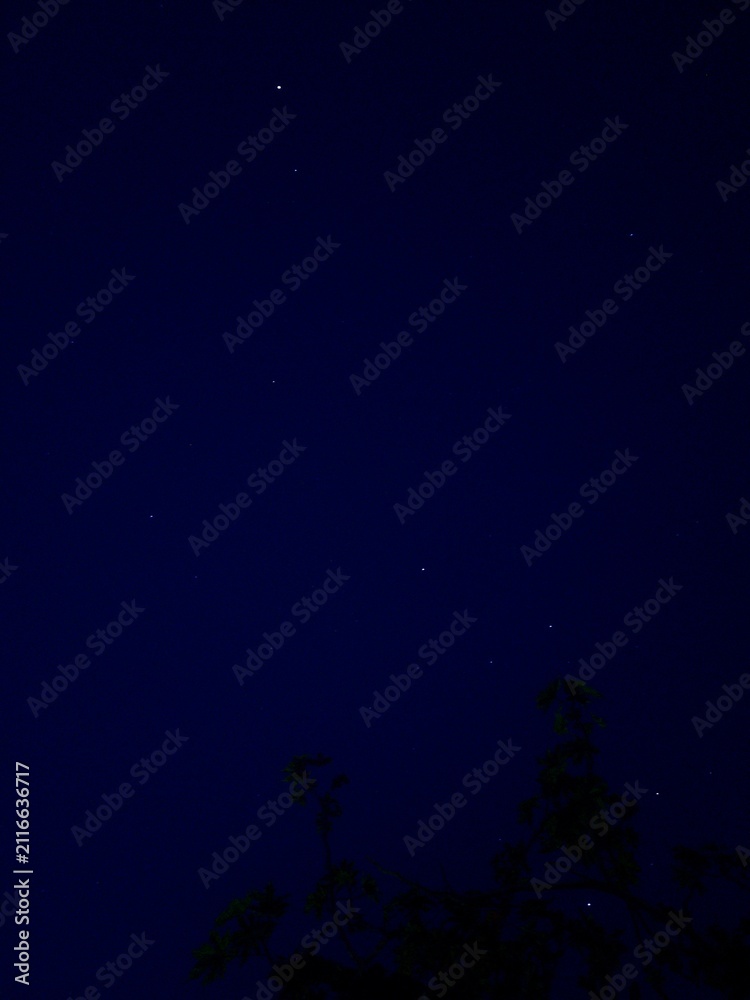Fototapeta premium Noche estrellada de invierno