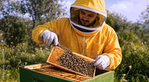 An outdoor shot of a beekeeper fully suited in yellow with a mesh veil, working carefully with bees and frames in a green hive box.