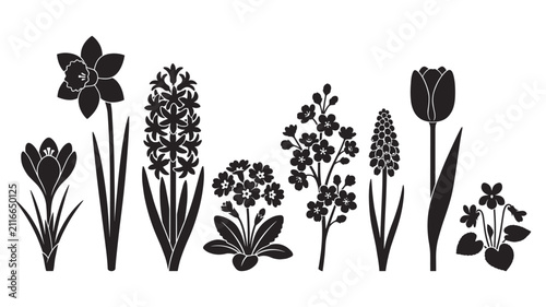Black spring garden bulb flowers silhouette set including daffodil, tulip, crocus, and hyacinth vector icons