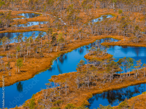 Canvastavla Aerial view of peat bog pools and tawny orange sphagnum with sparse pines in Kemeri National Park, Latvia