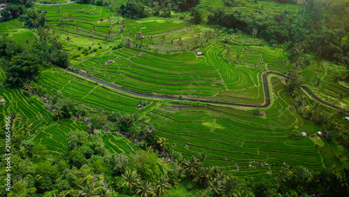 Rice terraces and field aerial view drom drone. Jatiluwih, Bali.