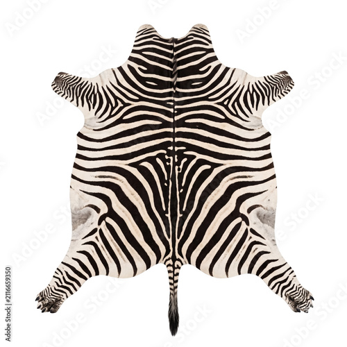 Quadro su tela Natural black and white zebra hide rug isolated