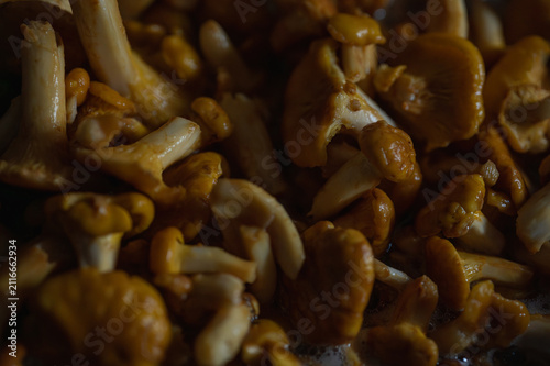 Macro of fresh golden chanterelle mushrooms frying in oil. Sizzling gourmet forest fungi, healthy organic meal preparation. Close-up culinary texture background, selective focus, blur, background