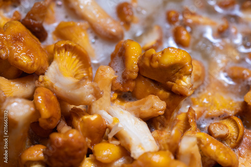 Close-up of golden chanterelle mushrooms cooking in boiling water. Macro view of fresh forest fungi, gourmet culinary preparation, organic food texture, selective focus, blur, background