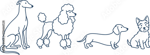 Cute animal icons set in decorative frames and borders outline vector illustration