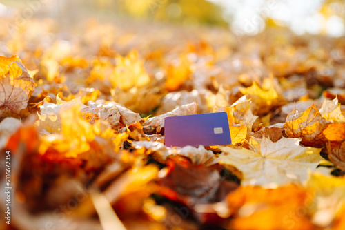 Obraz na plátně A brightly colored credit card lies among fallen autumn leaves in a sunny park