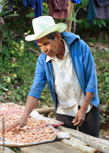 farmer processing cocoa to make chocolate