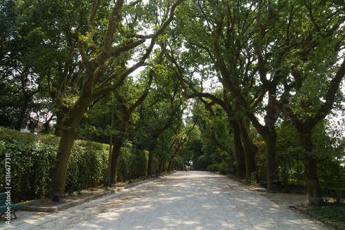 Historic Alameda Park Public Gardens in Santiago de Compostela
