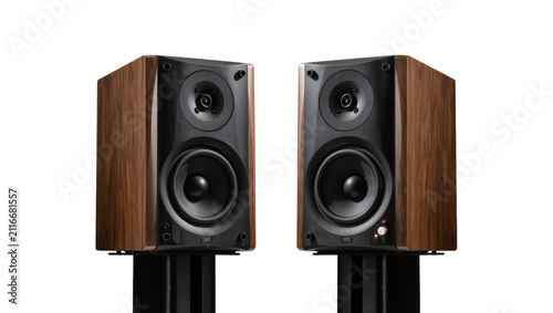 Fotografie Isolated pair of professional studio monitor speakers with rich wooden finish on