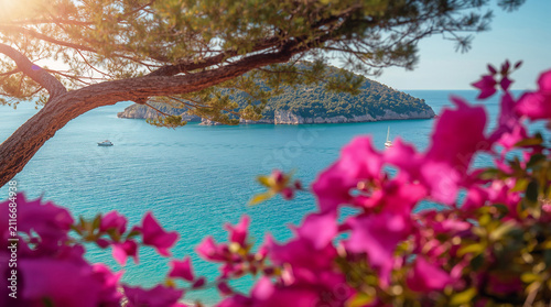 Breathtaking View of Palmaria Island and the Mediterranean Sea Framed by Pink Bougainvillea Flowers in Portovenere, Italy