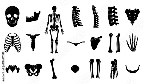 Obraz na plátně Black Human Skeleton Anatomy Silhouette Collection with Individual Bones CAD Fla