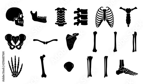 Fotografie Human Bone Black Silhouette Icon Collection with Skull Spine Rib Cage and Limb A