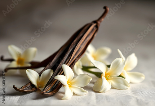 Dried vanilla pods and fres...