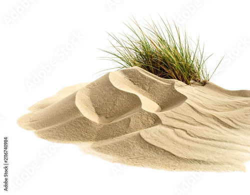 Dune with Marram Grass on Black Background Isolated Studio Photography