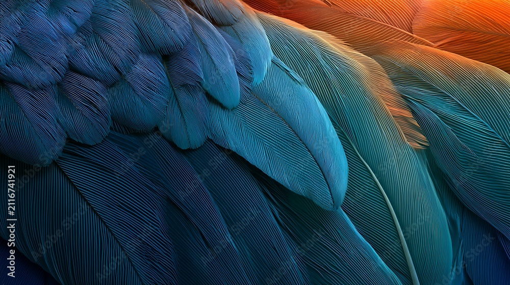 Obraz premium Macro detail of vibrant blue parrot feathers with warm highlights. Ideal for nature, biology, and abstract texture.