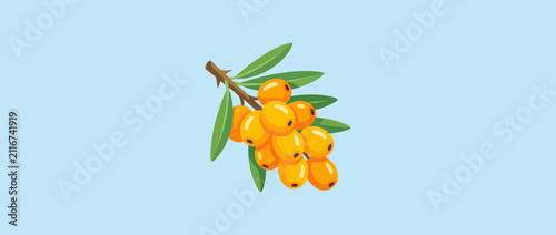 Illustration Of Orange Berries On A Branch With Leaves