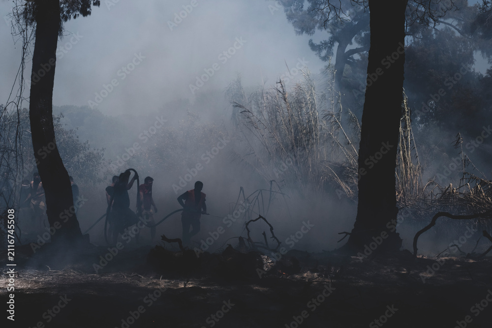 Obraz premium Firefighters Battling a Forest Wildfire Through Thick Smoke. Emergency Crew Fighting a Wildfire in the Forest. Firefighters Extinguishing a Forest Fire Amid Heavy Smoke.