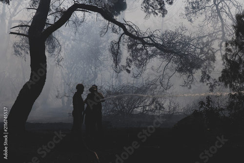 Firefighters Battling a Forest Wildfire Through Thick Smoke. Emergency Crew Fighting a Wildfire in the Forest. Firefighters Extinguishing a Forest Fire Amid Heavy Smoke.