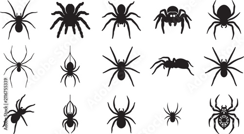 Set of various spider silhouettes vector illustration with silhouette set