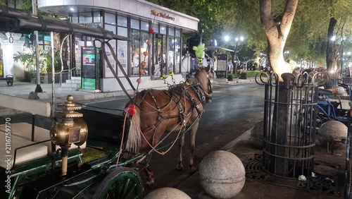 Cuadro en lienzo Night horse carriage waiting.