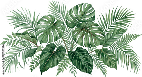 Fotografía Tropical jungle leaves border arrangement with monstera and palm fronds watercolor style vector illustration isolated on white background for banner design