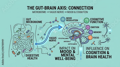 Gut brain axis infographic showing health and mood connection