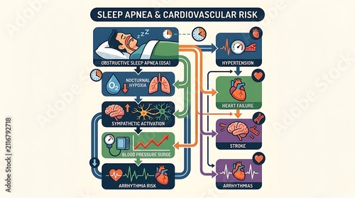Medical infographic showing the link between sleep apnea and heart risk