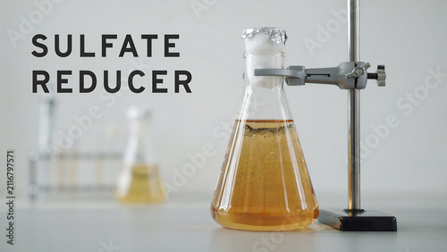 Laboratory setup featuring sulfate reducer chemical solution in an Erlenmeyer flask on a stand