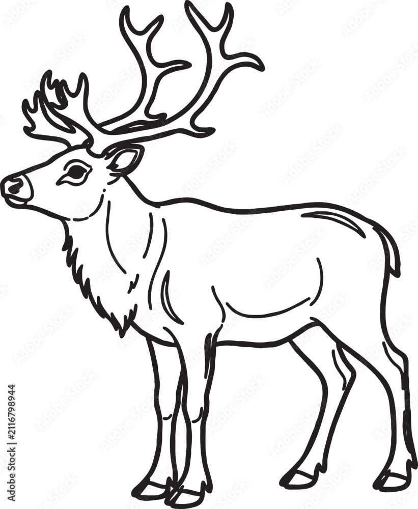 Obraz premium Majestic reindeer with impressive large antlers standing in profile, a noble wild animal from the northern forests, elegant black and white outline illustration often associated