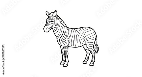 Zebra standing alone in profile view.