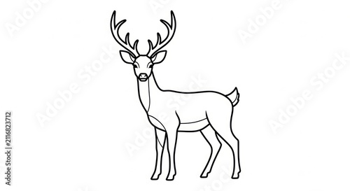 Plakat A deer with large antlers standing.