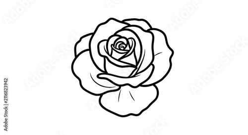 Black and white line art rose.