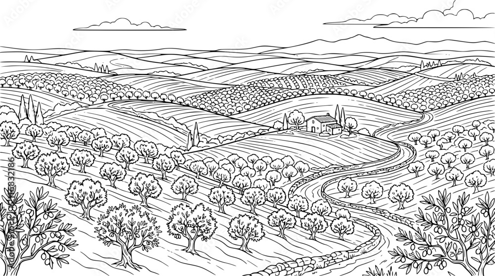 Fototapeta premium Mediterranean Olive Grove Landscape with Rolling Hills and Farmhouse Illustration
