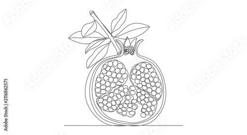 Single line drawing of a halved pomegranate with leaves on a branch