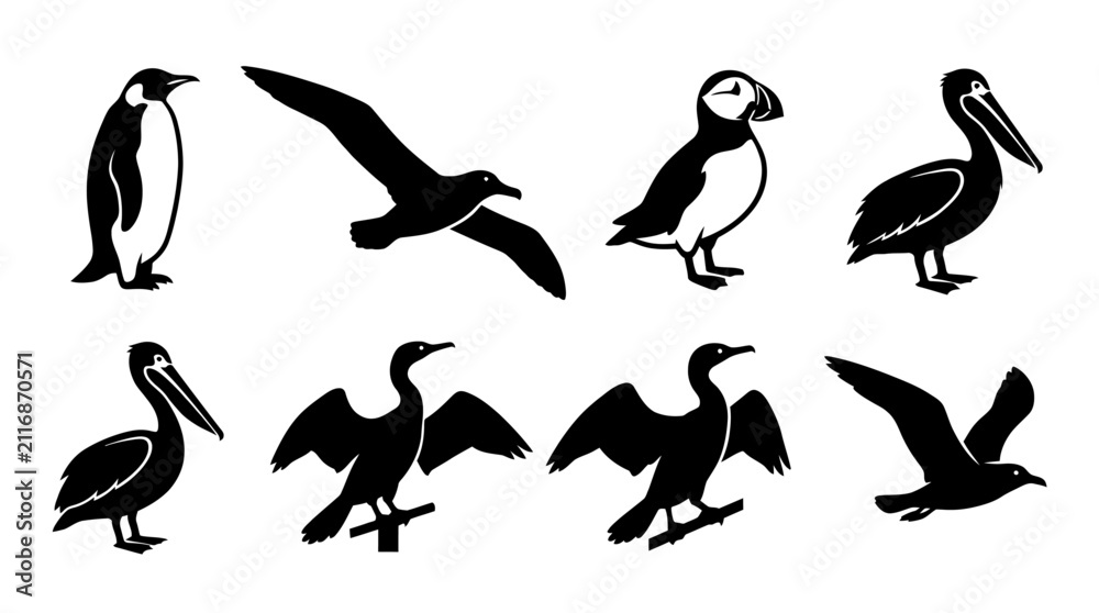 Fototapeta premium Collection of seabird silhouettes on a white background