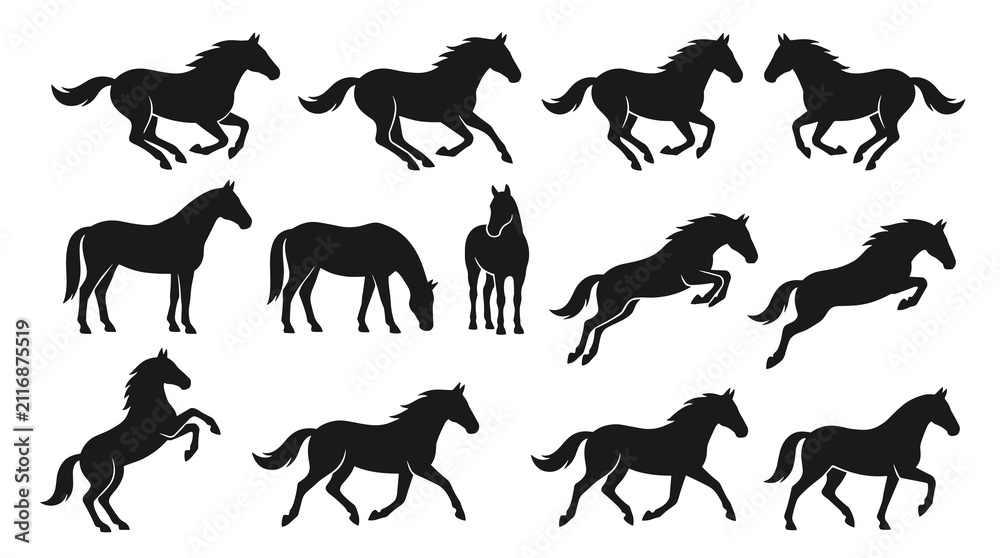 Fototapeta premium Horse Silhouette Collection Vector Set
