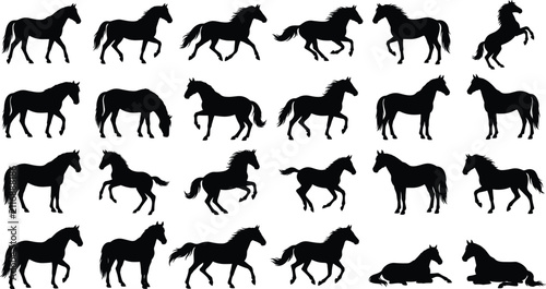 Photography Horse Silhouette Bundle Featuring Running Standing and Grazing Equine Vector Col