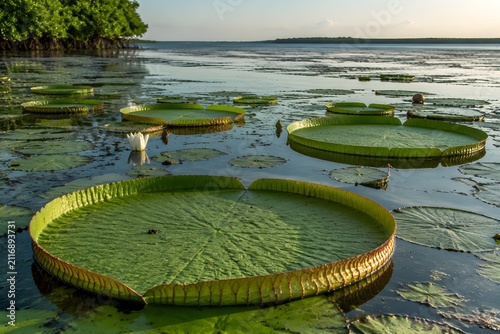 Large green lily pads adapted to brackish coastal lagoons meeting the salty ocean, no human, no brand, no text, pure vis.png