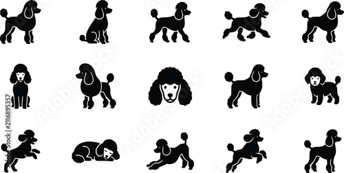 Modern Poodle Silhouette Clipart Bundle SVG PNG Set of 15
