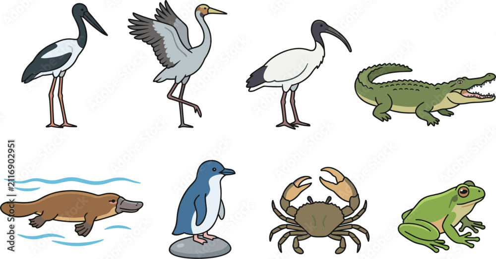 Fototapeta premium Australian Wetland and Coastal Wildlife Collection Featuring Crane Stork Ibis Crocodile Platypus Penguin Crab and Frog Cartoon Characters Vector Graphic Illustration