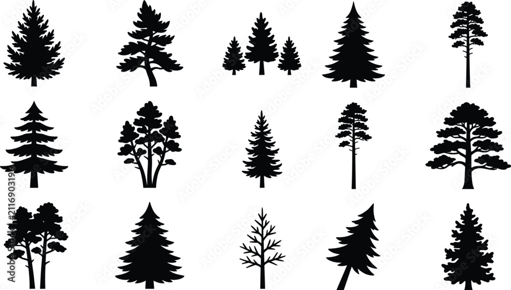 Obraz premium Black Evergreen Tree Silhouette Collection for Forest, Forestry and Nature Themed Graphic Design