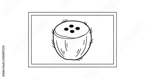 coconut, fruit