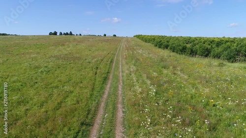 Smooth low flight along grassy dirt path